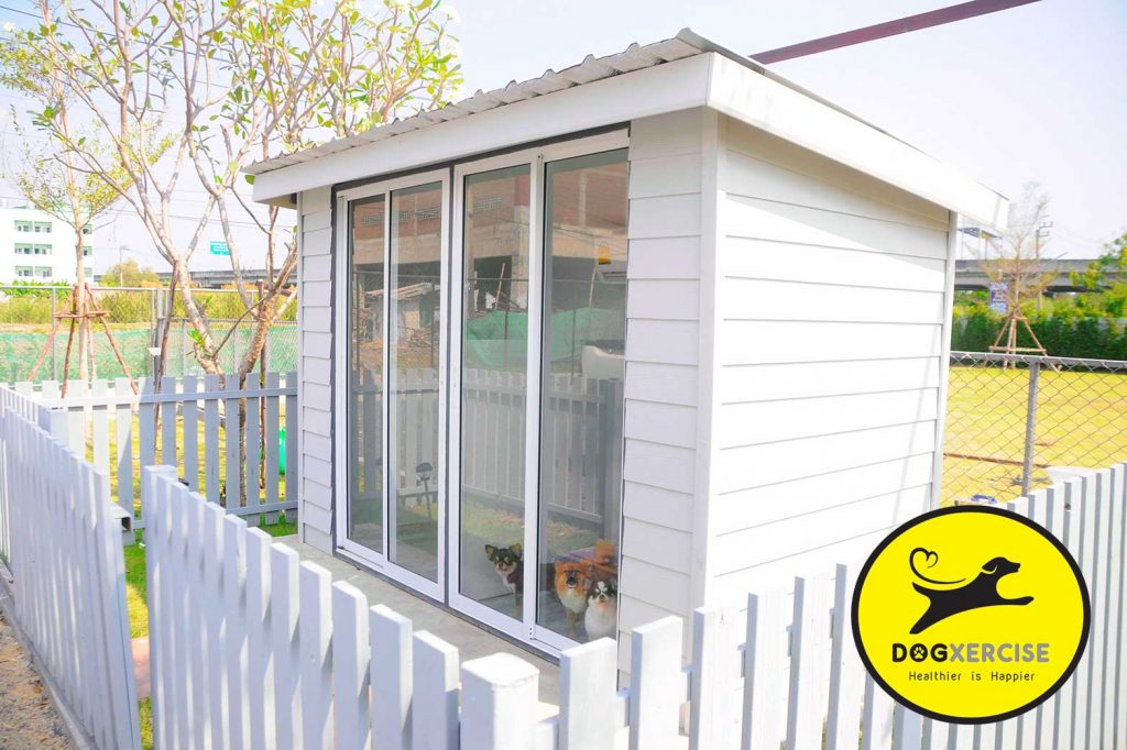 Dog Hotel ฝากเลี้ยงสุนัข